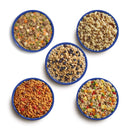 Mountain House Classic Assortment Bucket  - 24 Meals in 12 Pouches